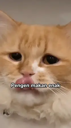 pingin makan enak