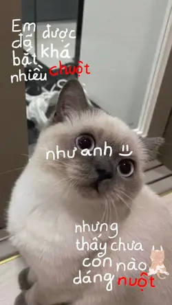 Say đắm trog lần đầu