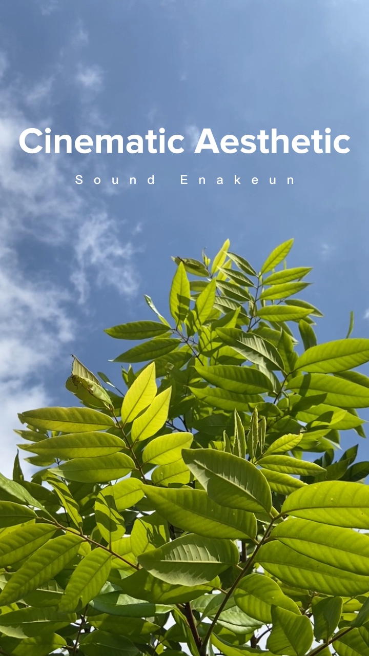 Cinematic slow