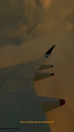 fly