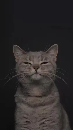 MINUM SUSU ITU SEHAT