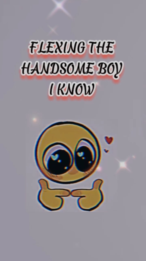 HANDSOME BOYS