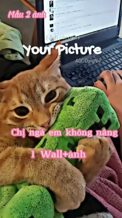Chị ngã em 0 nâng?