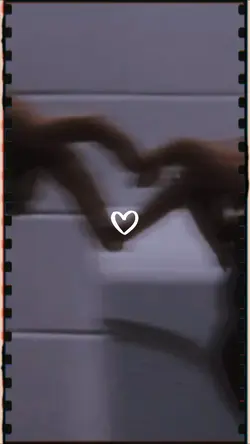 couple | together