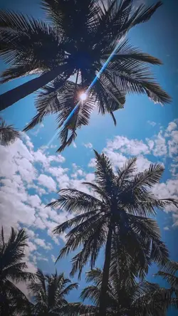 Filter alam esthetik