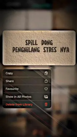 spil dong penghilang