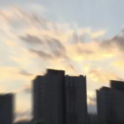 제주도의 푸른 밤