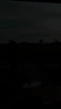 2 VIDEO + 5 FOTO
