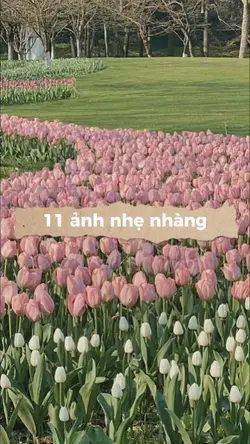 11ảnh lớp 