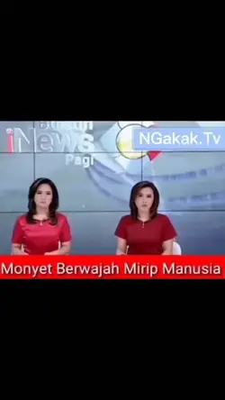 Berita Terkini