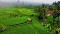 ganti filter estetik