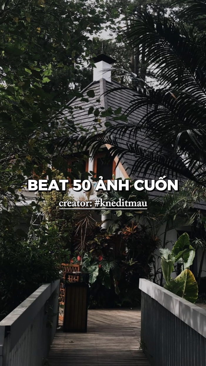 BEAT 50 ẢNH