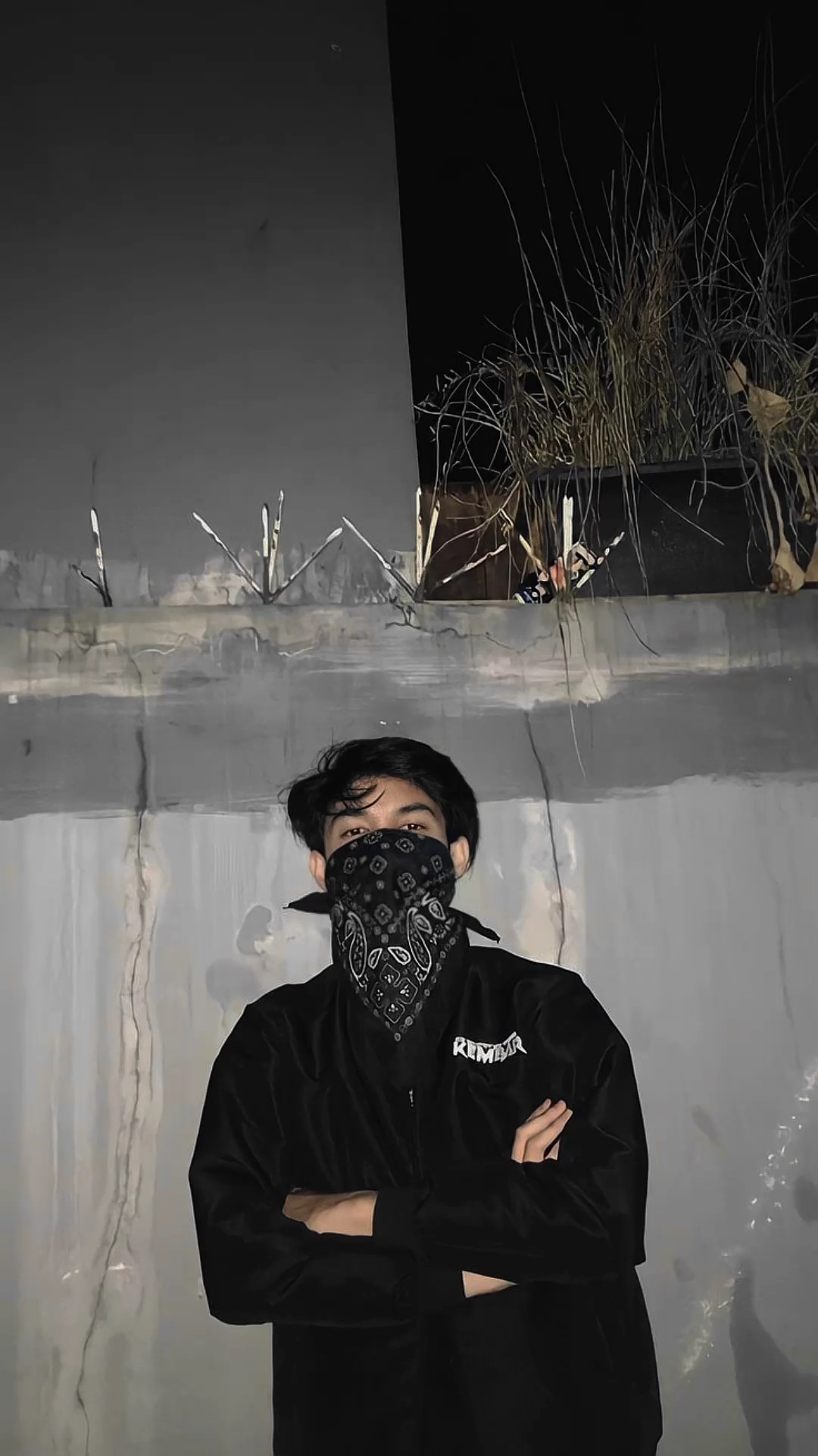 Cover Picture