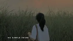 16 : 9