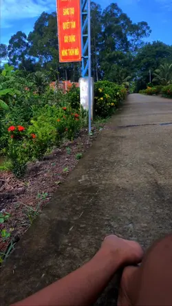 Phố Thị phồn Hoa !