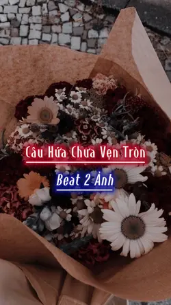 2 Ảnh