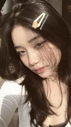 jepitnny bsa digeser