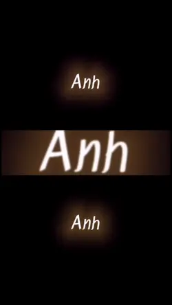 HÌNH NHƯ ANH NÓI...