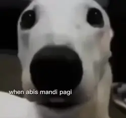 menggigil