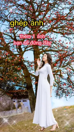 ghép ảnh hoa gạo