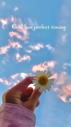 trust the process