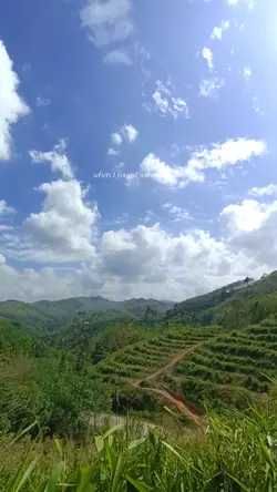 ธรรมชาติบำบัด