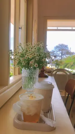 1video + màu xinh🌿