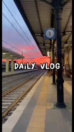daily vlog