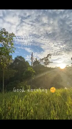 Good morning 