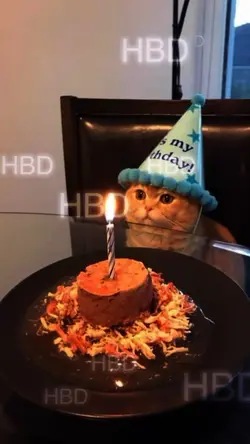 H.B.D><