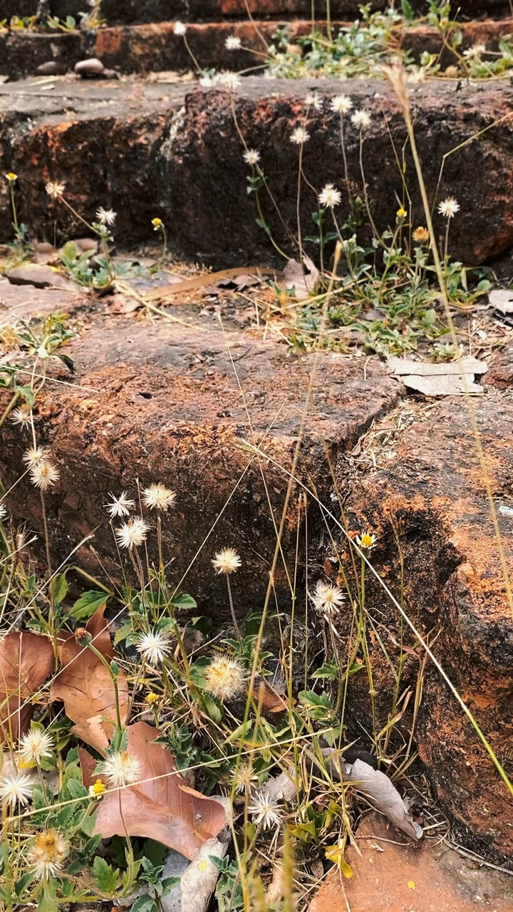 History Ayuthaya 