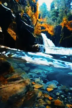 filter aesthetic