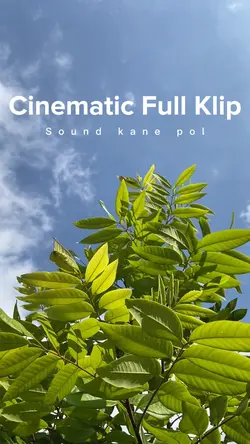 Cinematic 26 Klip