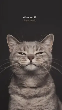 Who am I?
