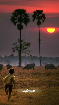 อยู่บ้านเรายามหนาวก็หนาว