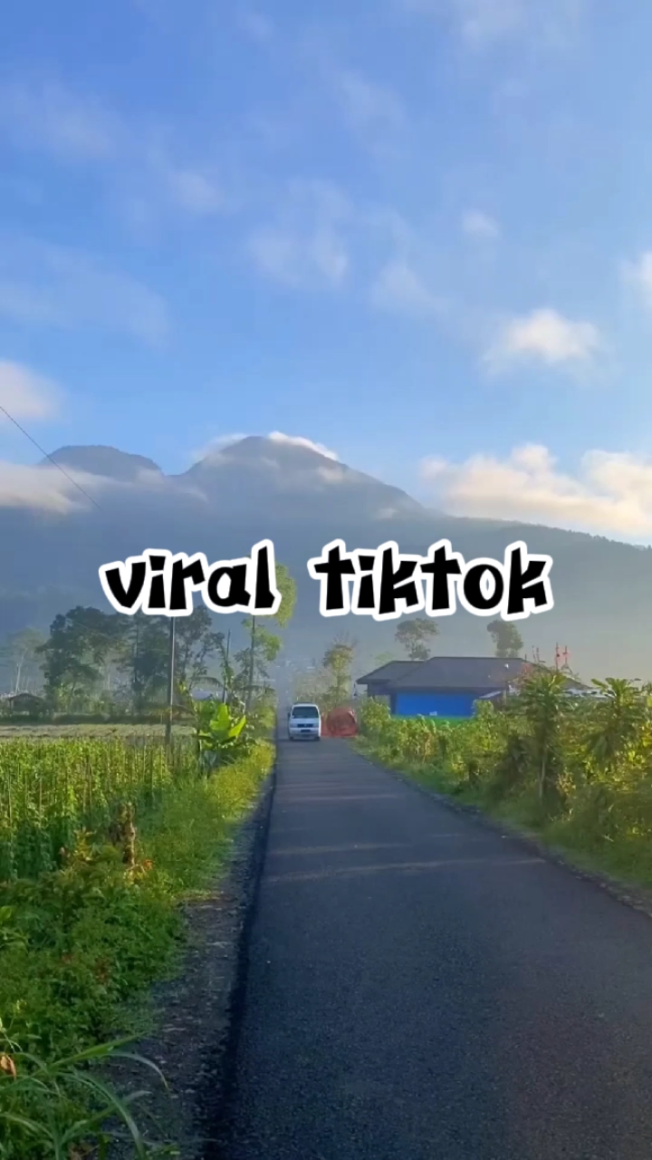 Tiktok viral
