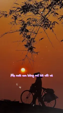 Con xin lỗi mẹ