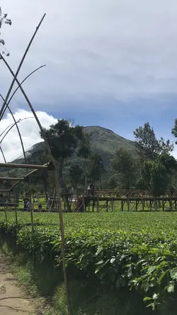 Vlog Holideemu🤪🦦