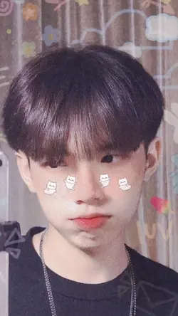 mẫu beat 2 ảnh 