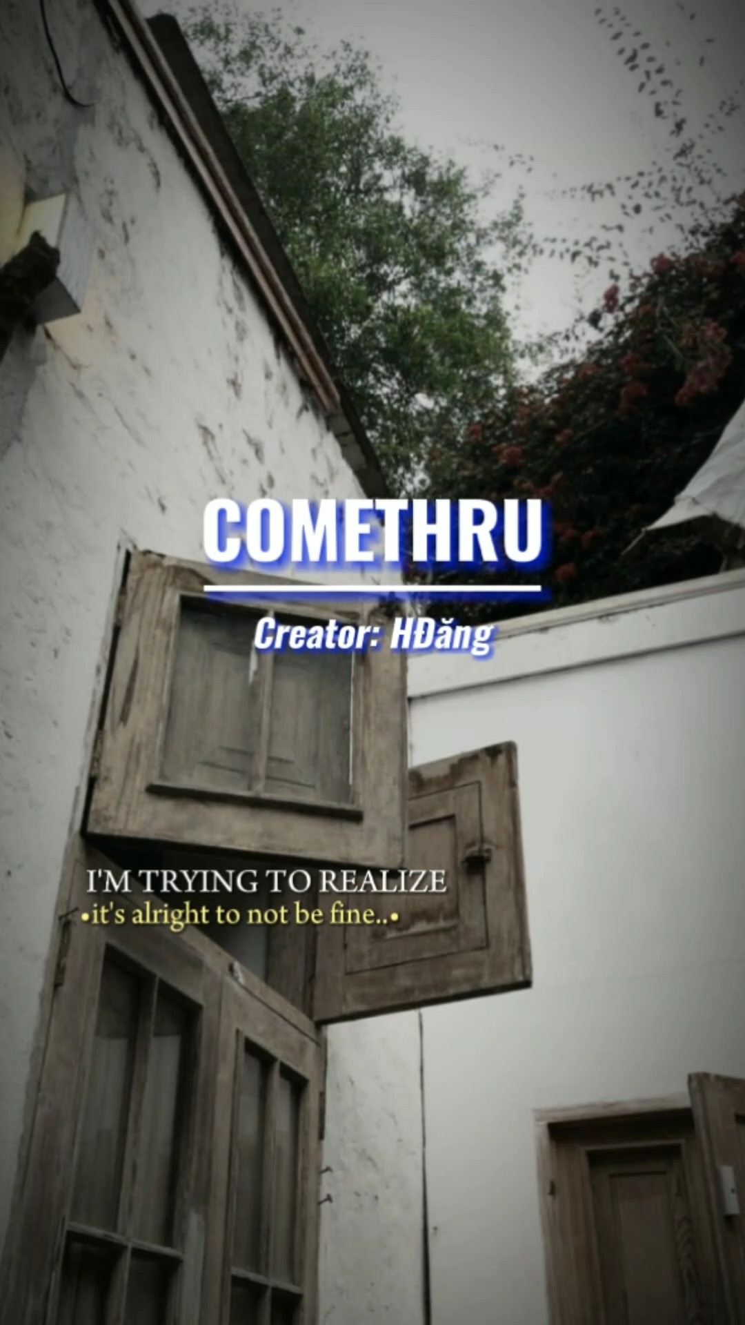 Cover Picture