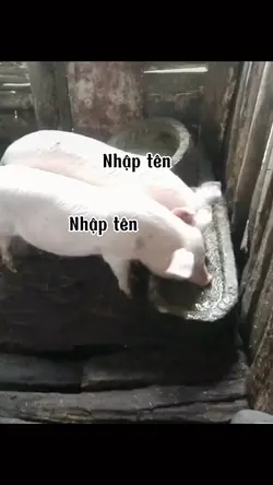 Mẫu troll bạn bè