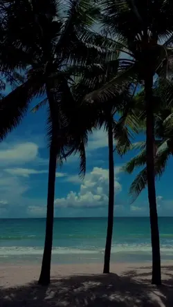 Traveling Random