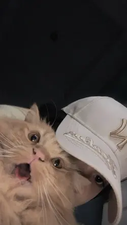 Lirik Aesthetic