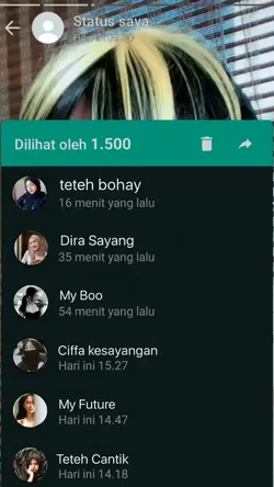 Fake View