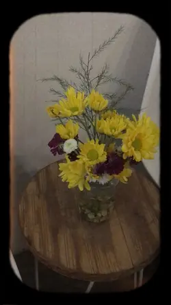 mini vlog