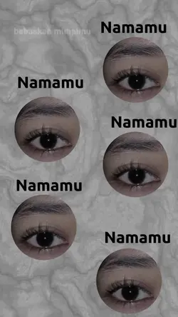 versi ber5