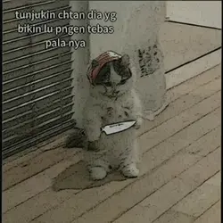 nunjukin chat