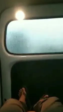 Prani Di Ambulance