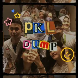 ver pkl dump
