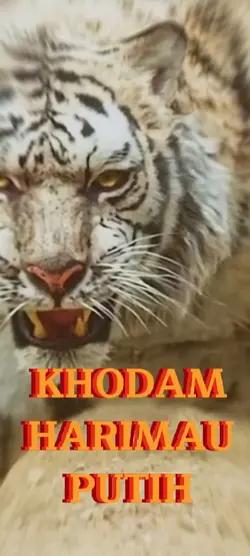 Khodam Harimau